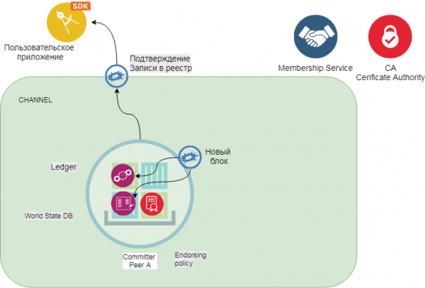 Hyperledger Fabric для Чайников