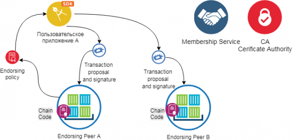 Hyperledger Fabric для Чайников