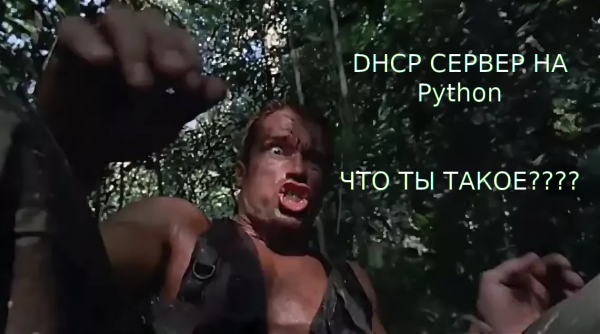 DHCP+Mysql сервер на Python