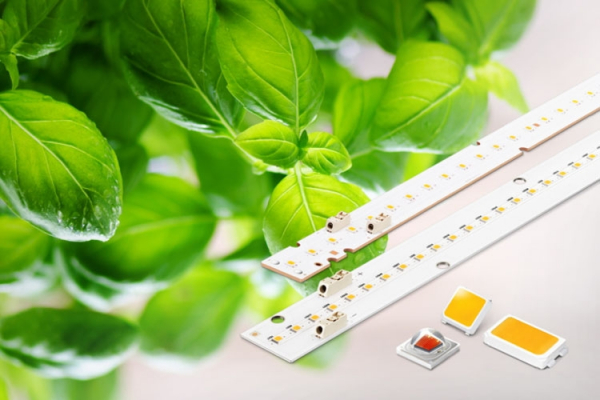 Samsung повышает эффективность светодиодов для выращивания растений