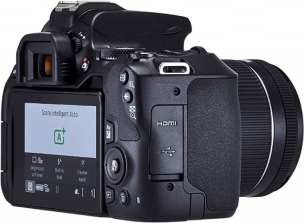 Canon EOS 250D — самая лёгкая зеркалка с поворотным дисплеем и видео 4K