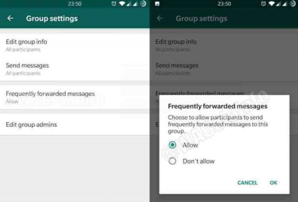 WhatsApp тестирует функцию блокировки часто пересылаемых сообщений в группах