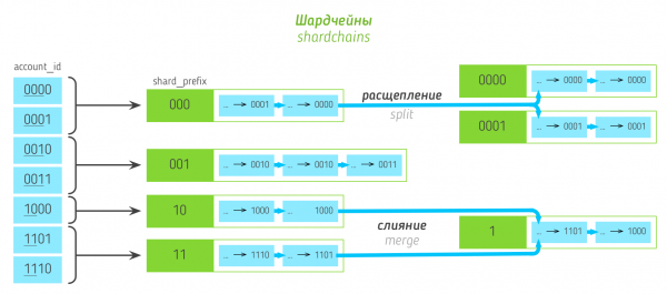 TON: Telegram Open Network. Часть 2: Блокчейны, шардирование