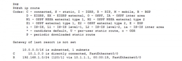 Тренинг Cisco 200-125 CCNA v3.0. День 21. Дистанционно-векторная маршрутизация RIP