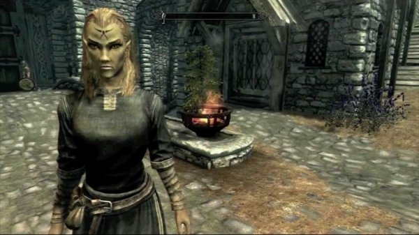 Моддер переработал прокачку в The Elder Scrolls V: Skyrim, привязав её к выбору расы