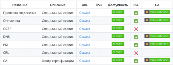 Всё, что вы хотели знать о децентрализованном интернет-провайдере «Medium», но боялись спросить