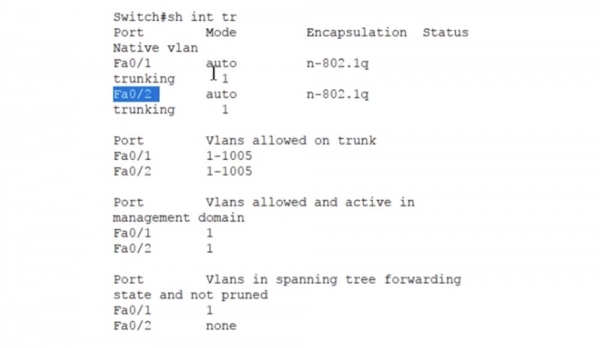 Тренинг Cisco 200-125 CCNA v3.0. День 35. Динамический протокол транкинга DTP