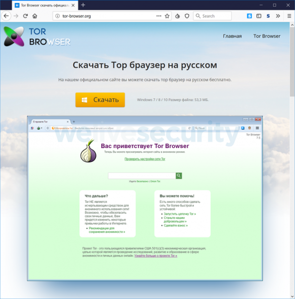 Фиктивная русская версия Tor Browser использовалась для кражи криптовалюты и QIWI