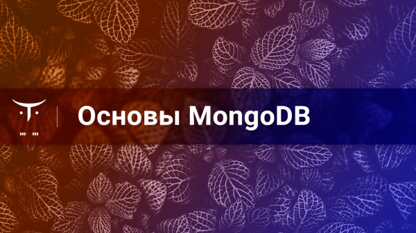 Открытый вебинар «Основы MongoDB»