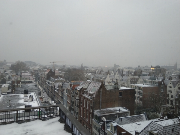 Как программисту переехать в Нидерланды