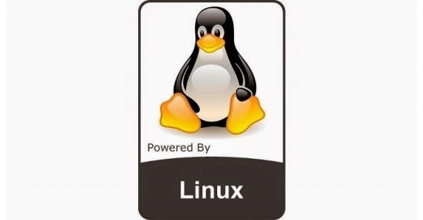 Ядро Linux 5.4 готово к массовому развёртыванию