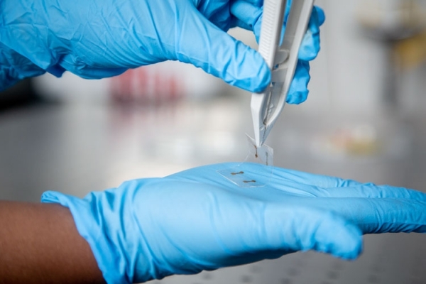 Австралийские учёные придумали гибкий нанотонкий тачскрин
