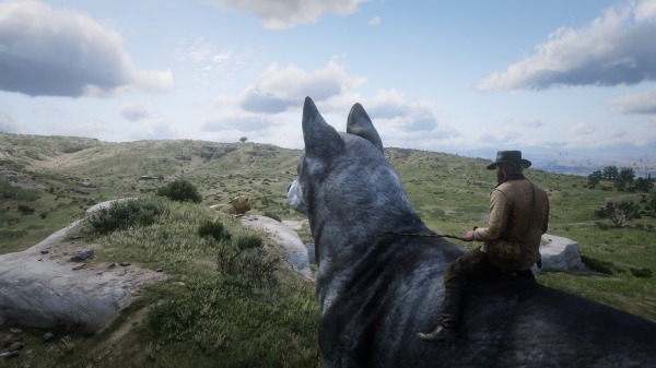 Верхом на волке и кабане: новая модификация для Red Dead Redemption 2 превращает диких животных в ездовых