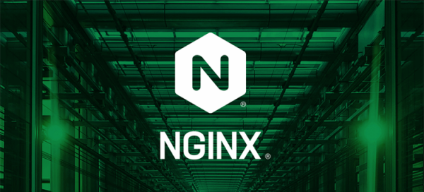 Спор за права на веб-сервер Nginx,&nbsp;созданный бывшими работниками Rambler, вышел за пределы России