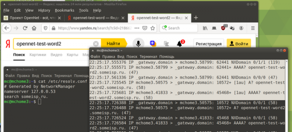 Утечка поисковых ключей через DNS в Firefox и Chrome