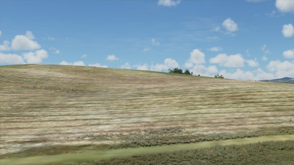 Игрок нашёл в Microsoft Flight Simulator тот самый холм из стандартного фона Windows XP