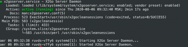 VPS на Linux с графическим интерфейсом: запускаем сервер X2Go на Ubuntu 18.04