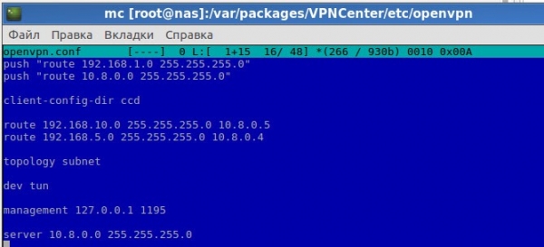 Настройка на NAS Synology OpenVPN сервера по типу site-to-site