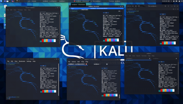 Релиз дистрибутива для исследования безопасности Kali Linux 2021.1