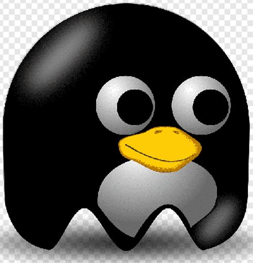 Linux 33 года