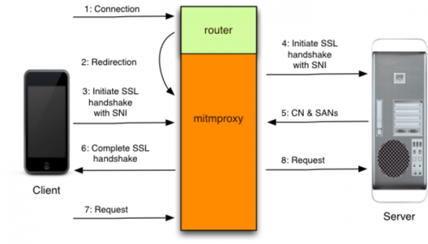 Выпуск HTTPS-анализатора Mitmproxy 11 с поддержкой HTTP/3