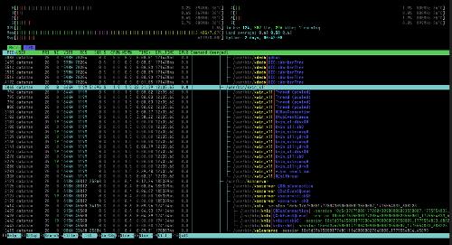 htop 3.5.0