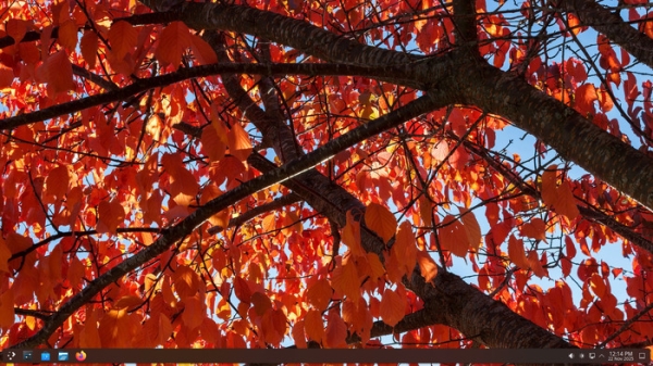  Релиз дистрибутива Solus 4.9 