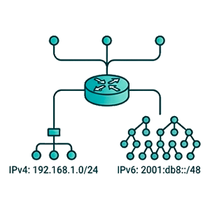 Возможность подключить сеть
