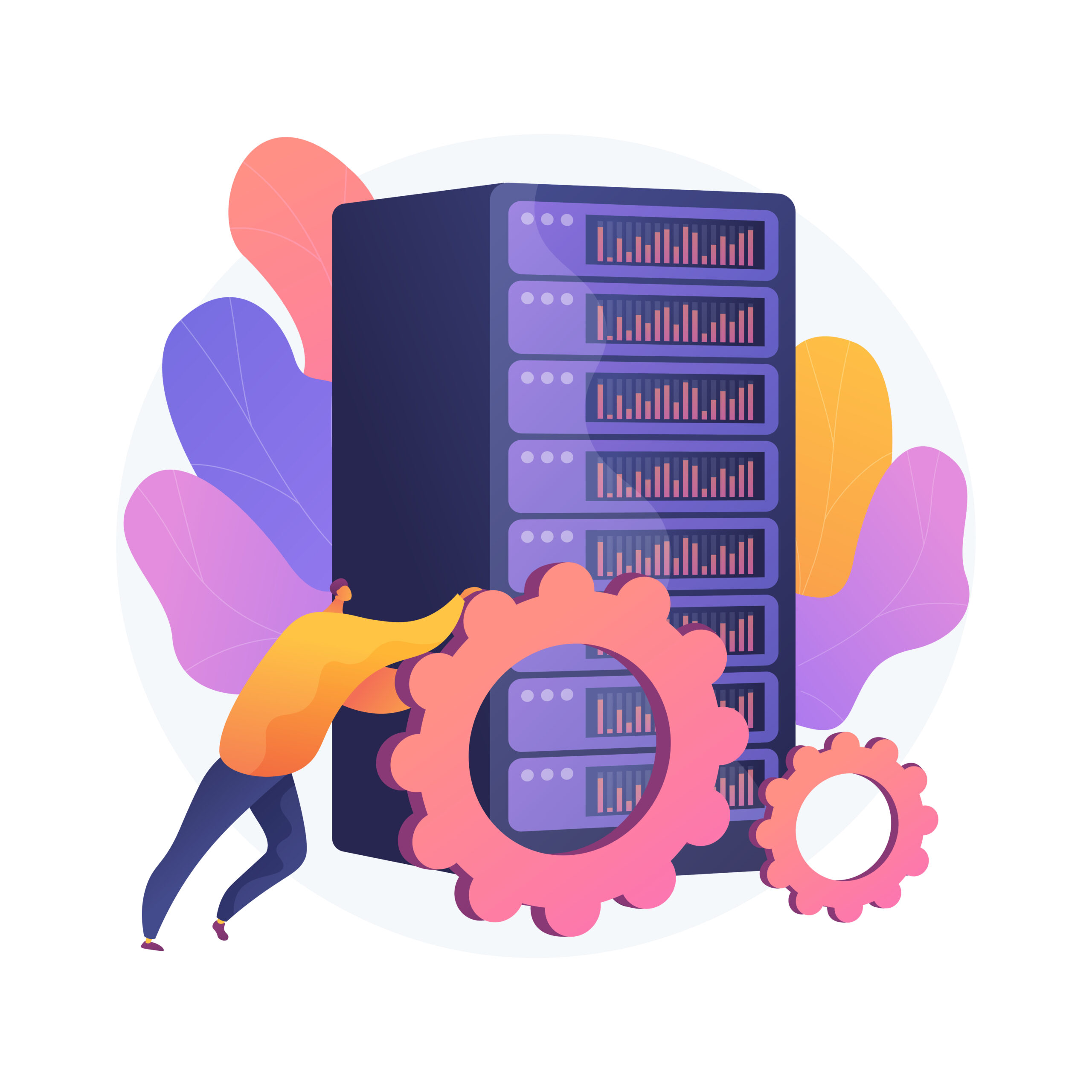 Sınıflandırma ve sertifikasyon